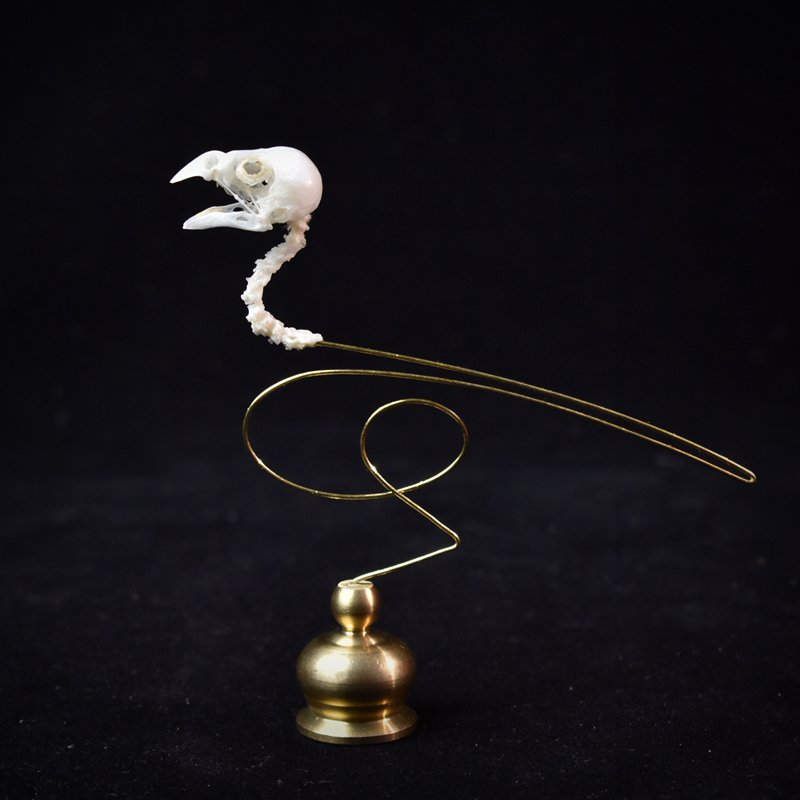 2111 Boutique Ethical Bird Sku - đánh giá và giá Art Craft Museum