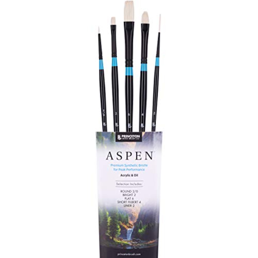 Aspen 6500 Series 5pc Professi - đánh giá và giá Gouache Paint Set