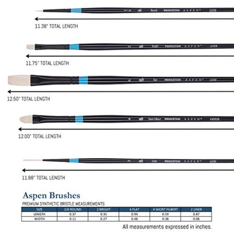 Aspen 6500 Series 5pc Professi - đánh giá và giá Gouache Paint Set